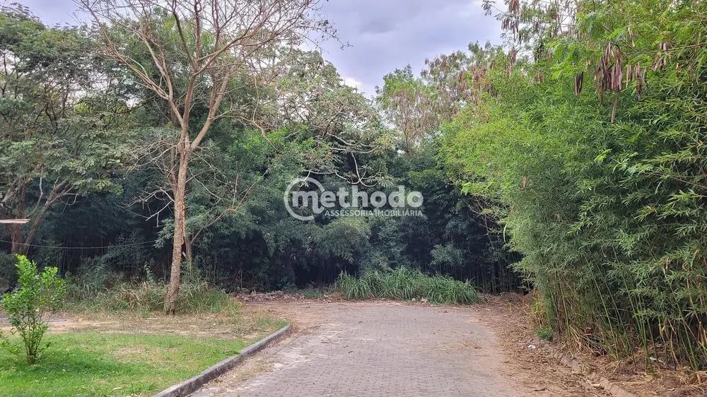 Terreno, 2 hectares - Foto 2