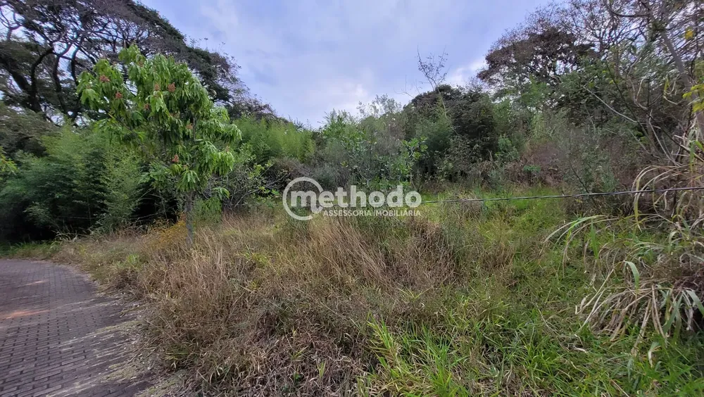 Terreno, 2 hectares - Foto 3