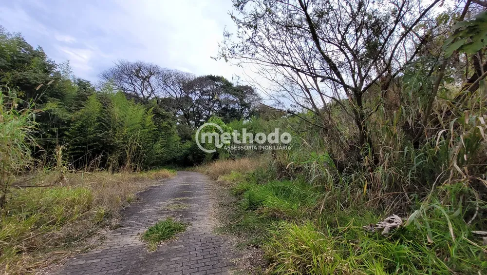 Terreno, 2 hectares - Foto 4