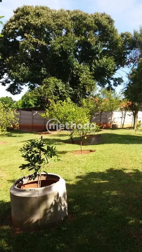 Sítio, 3 quartos, 1211 m² - Foto 3