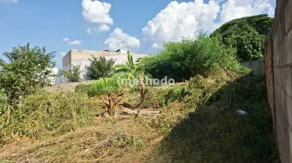 Terreno, 602 m² - Foto 4