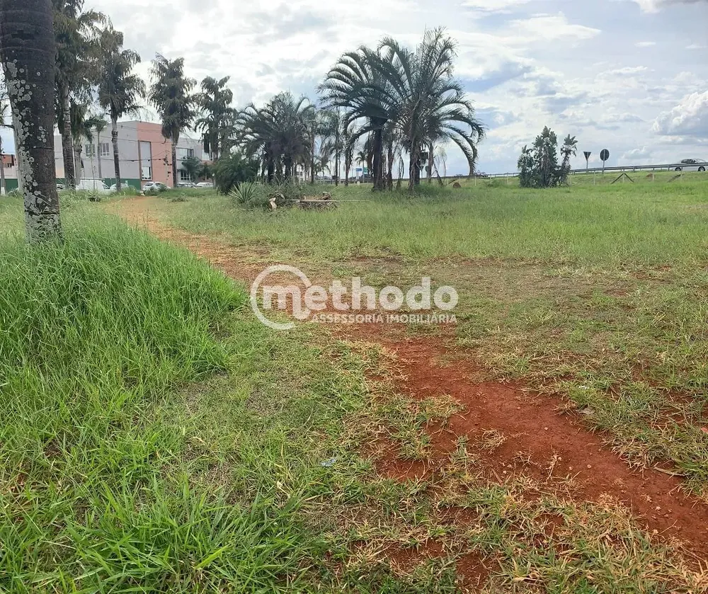 Terreno, 3873 m² - Foto 3
