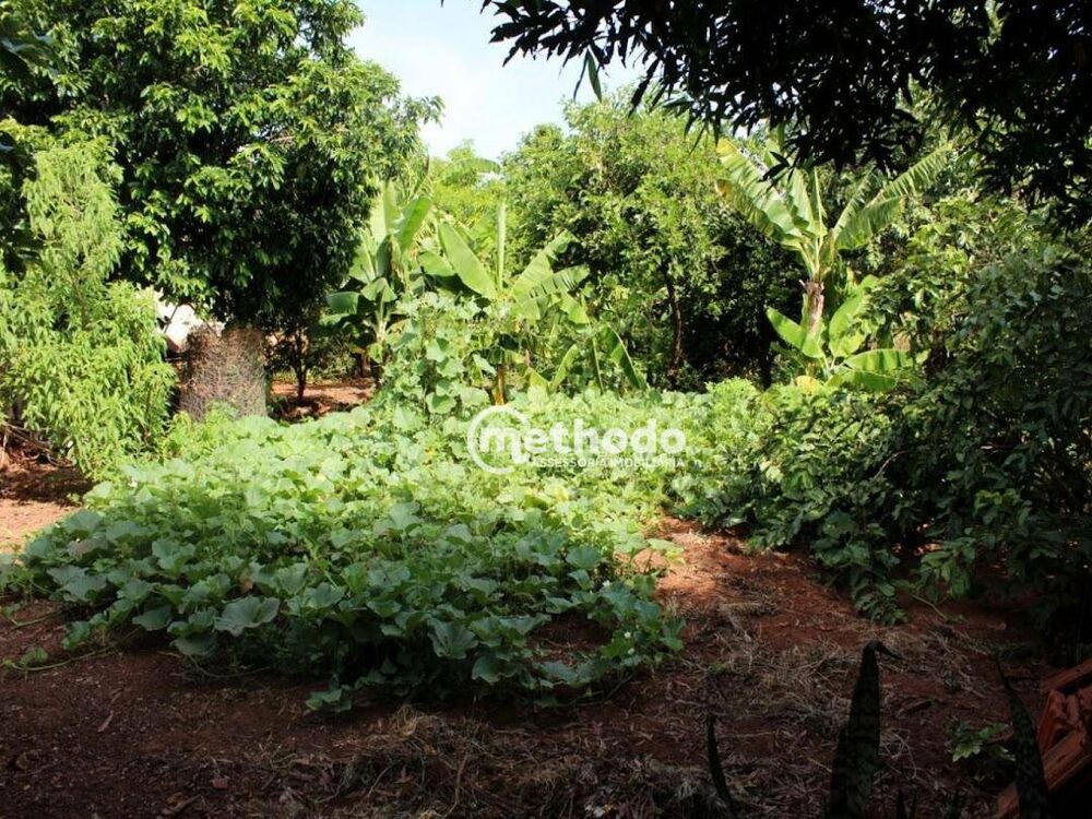 Chácara à venda com 3 quartos, 5762m² - Foto 8