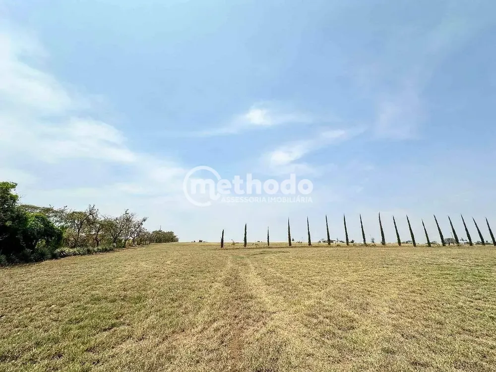 Terreno, 6 hectares - Foto 1