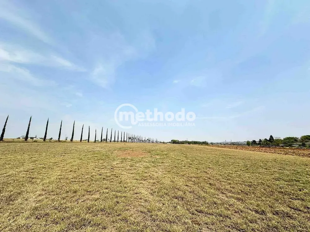 Terreno, 6 hectares - Foto 4