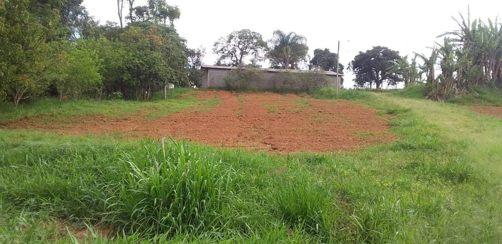 Sítio, 3 quartos, 4 hectares - Foto 13