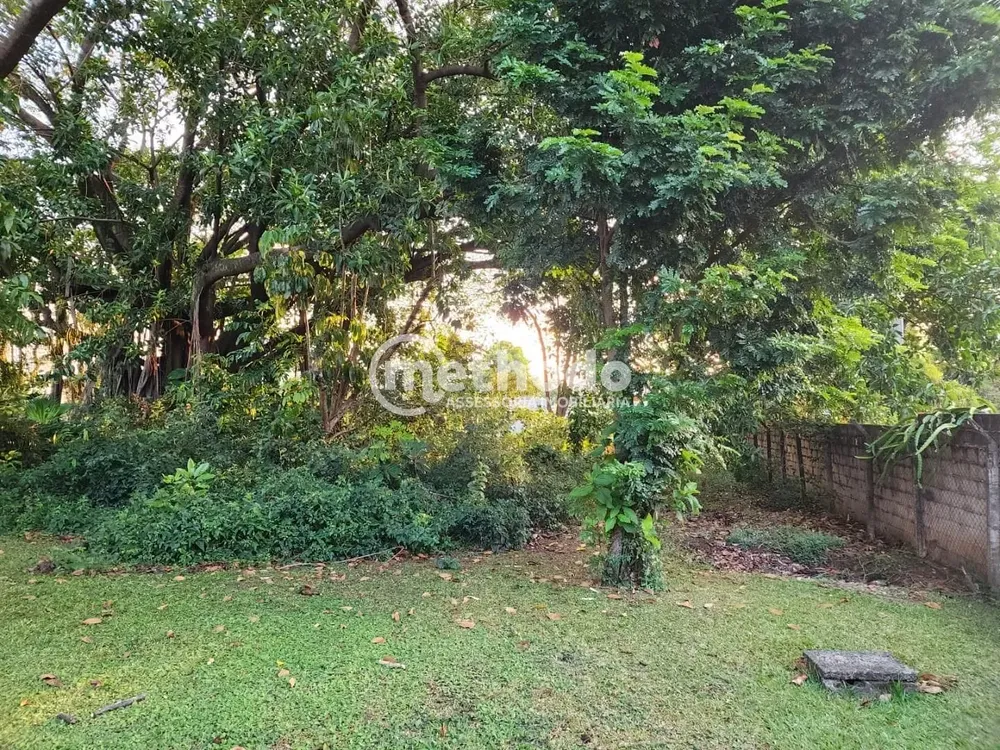 Terreno, 5090 m² - Foto 3