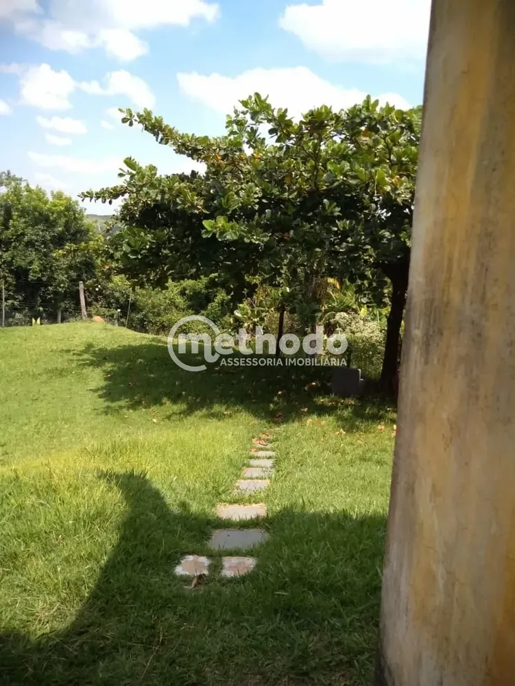 Sítio, 3 quartos, 10000 m² - Foto 4