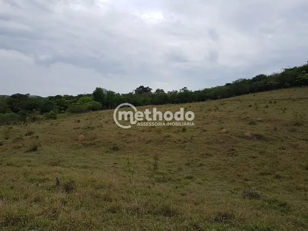 Terreno, 3 hectares - Foto 3
