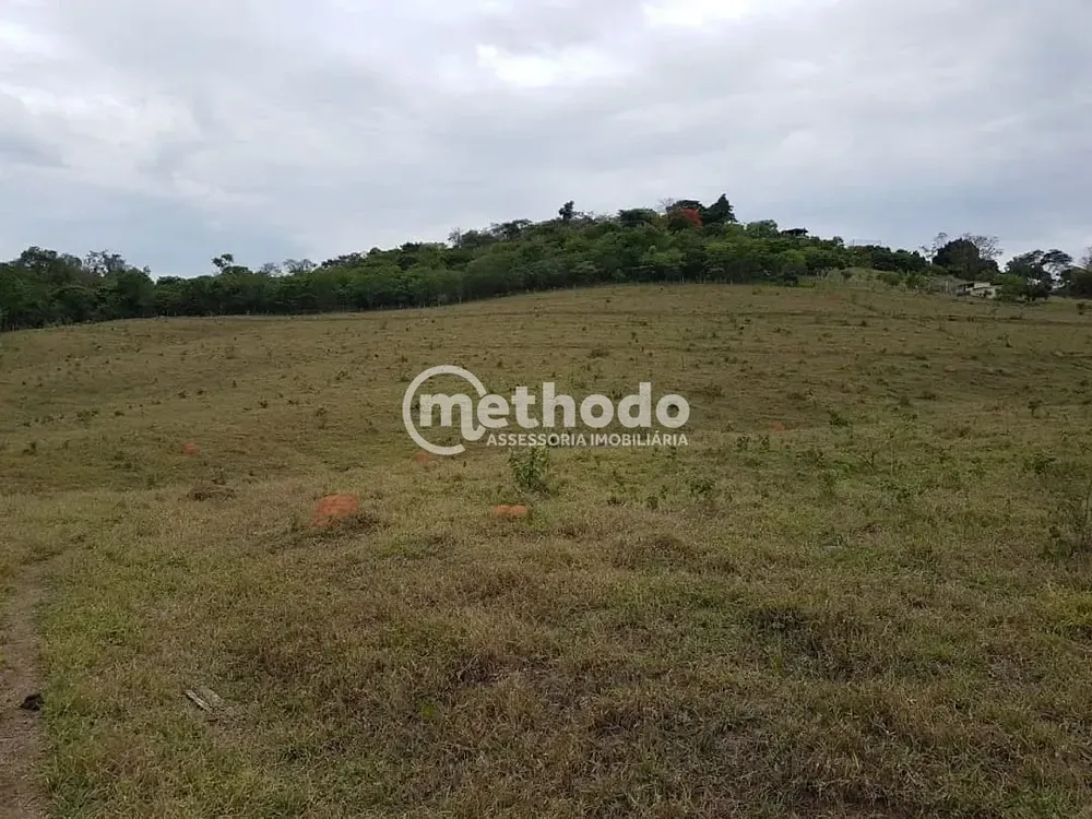 Terreno, 3 hectares - Foto 2