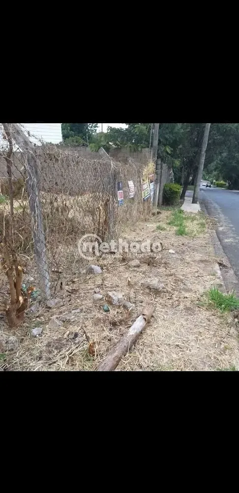 Terreno, 429 m² - Foto 4