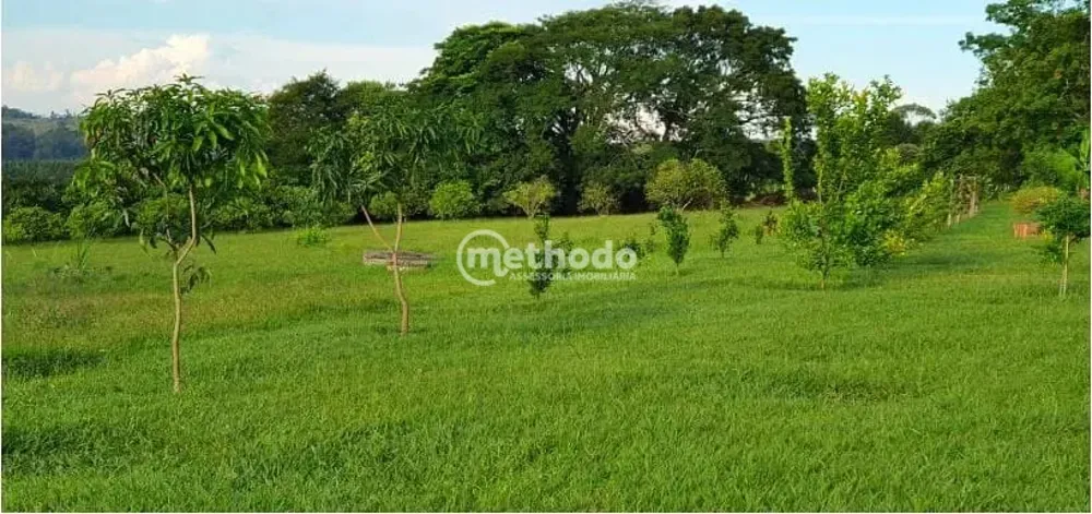 Sítio, 5 quartos, 4 hectares - Foto 3