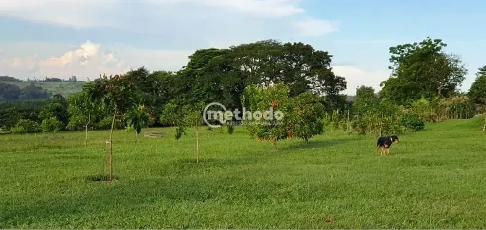 Sítio, 5 quartos, 4 hectares - Foto 2