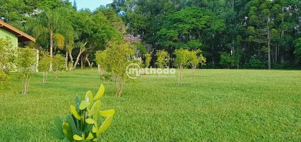 Sítio, 5 quartos, 4 hectares - Foto 4