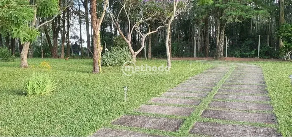 Sítio, 5 quartos, 4 hectares - Foto 1