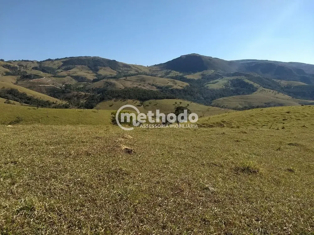 Fazenda, 116 hectares - Foto 2