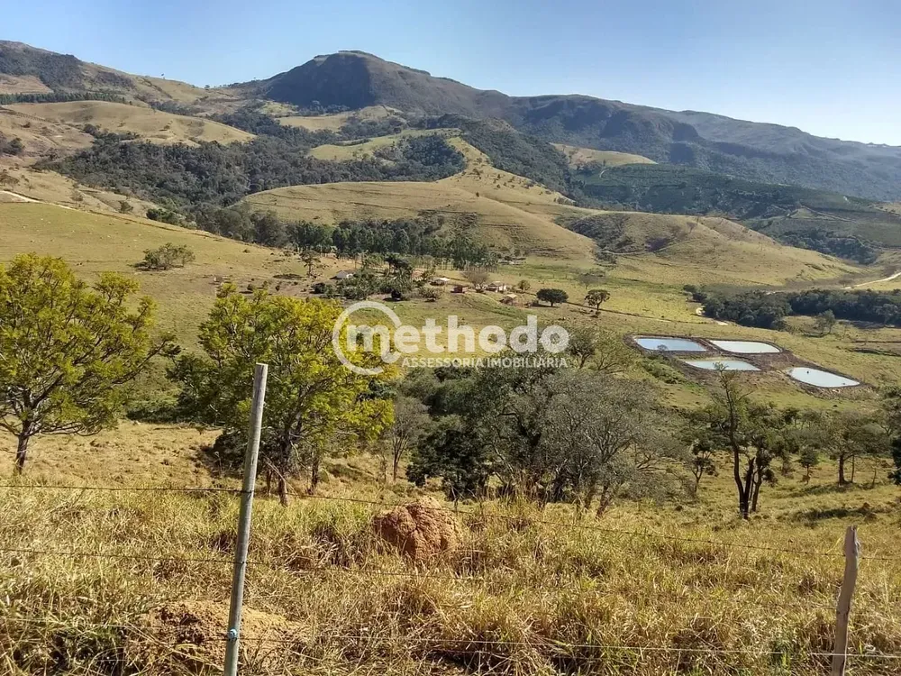 Fazenda, 116 hectares - Foto 4