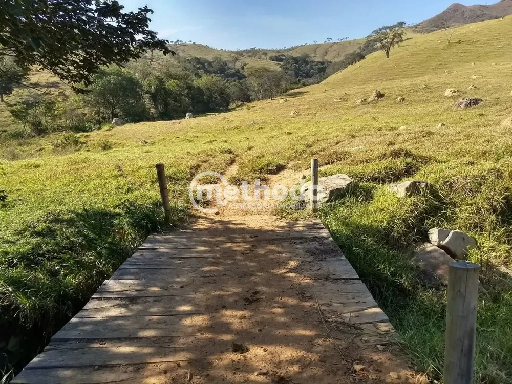 Fazenda, 116 hectares - Foto 1