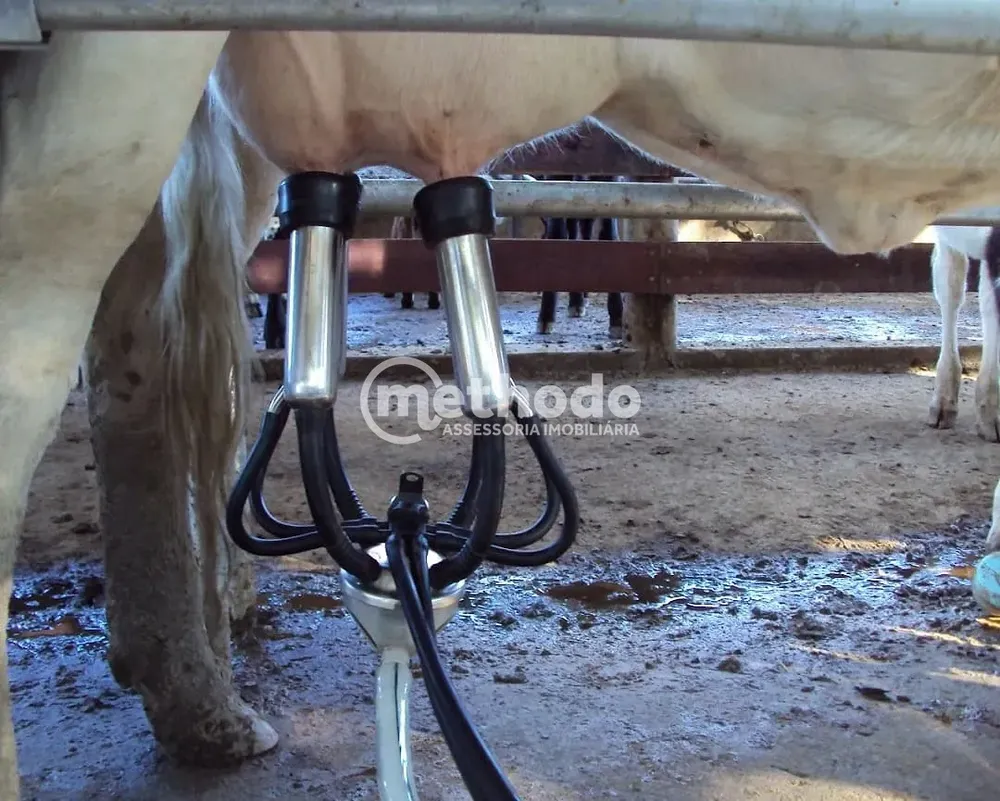 Fazenda, 28 hectares - Foto 4