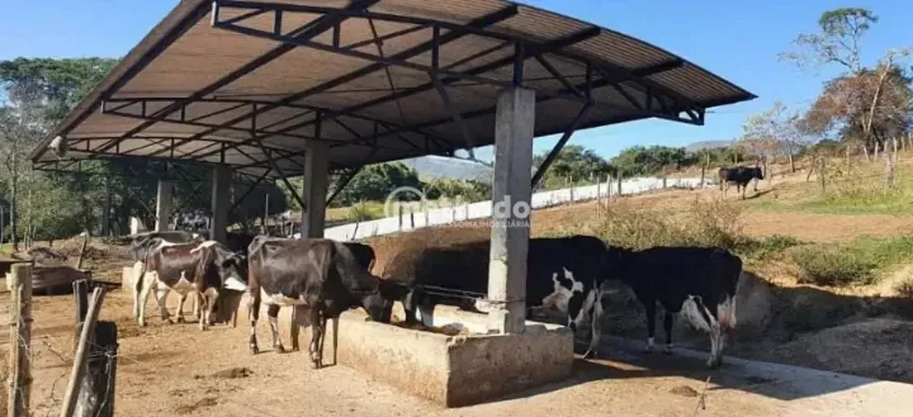 Fazenda, 28 hectares - Foto 2