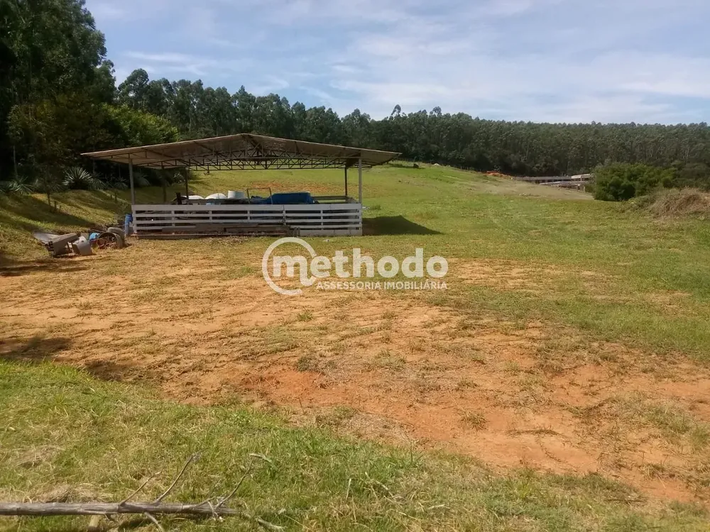 Terreno, 2 hectares - Foto 3