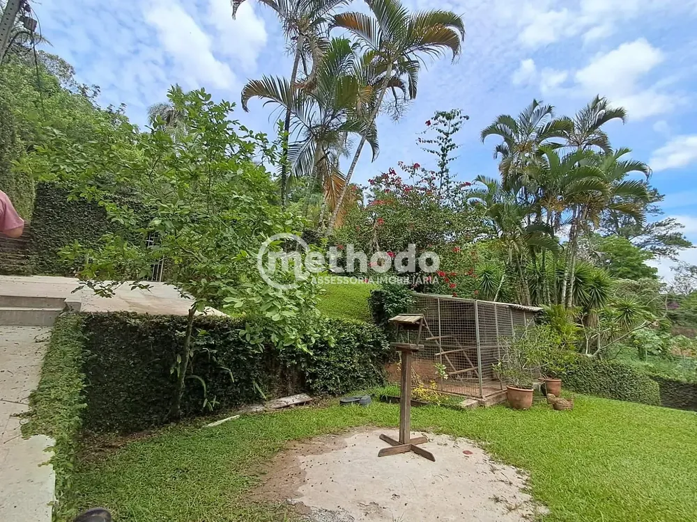 Sítio, 3 quartos, 3425 m² - Foto 1