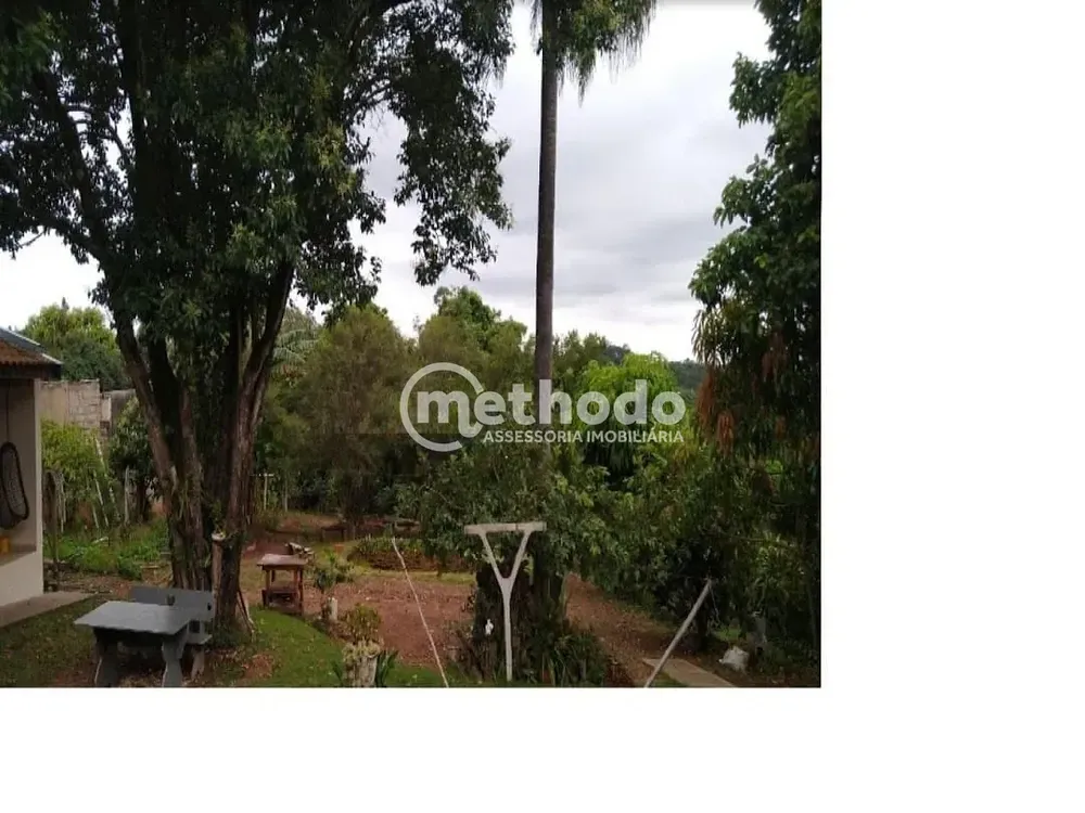 Chácara, 3 quartos, 2356 m² - Foto 4