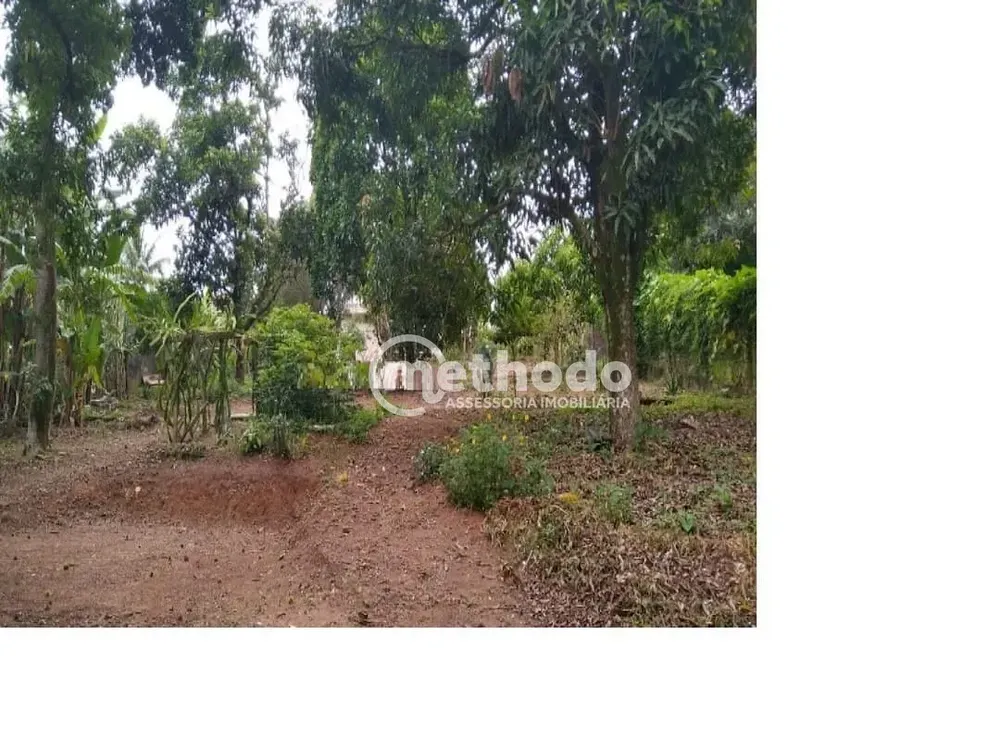 Chácara, 3 quartos, 2356 m² - Foto 1