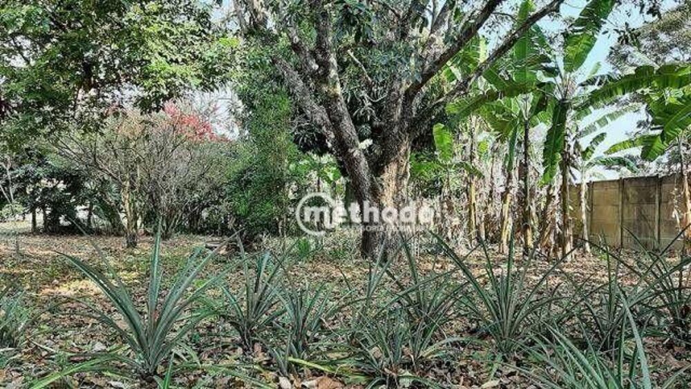 Chácara à venda com 3 quartos, 300m² - Foto 7