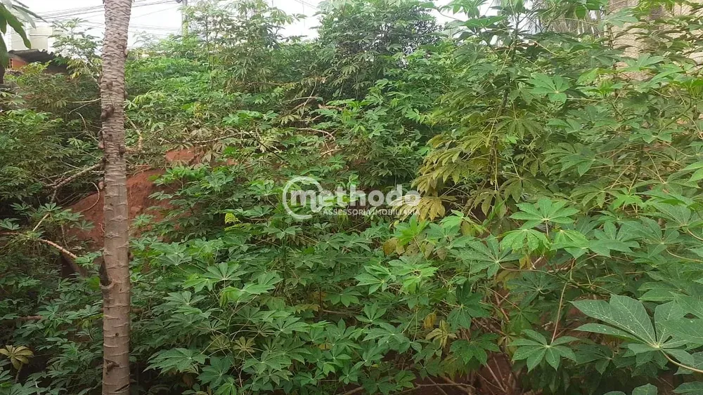 Terreno, 250 m² - Foto 1