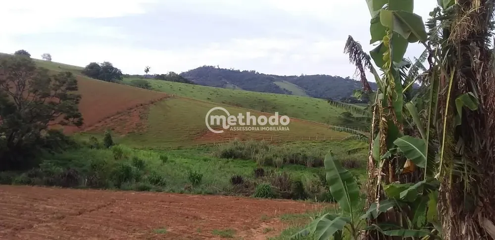 Sítio, 3 quartos, 4 hectares - Foto 4
