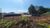 Terreno, 345 m² - Foto 1