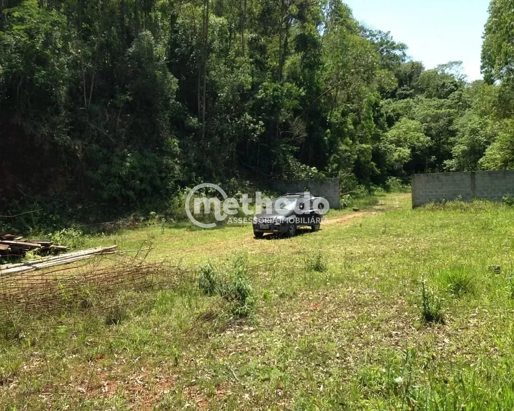 Terreno, 9 hectares - Foto 4