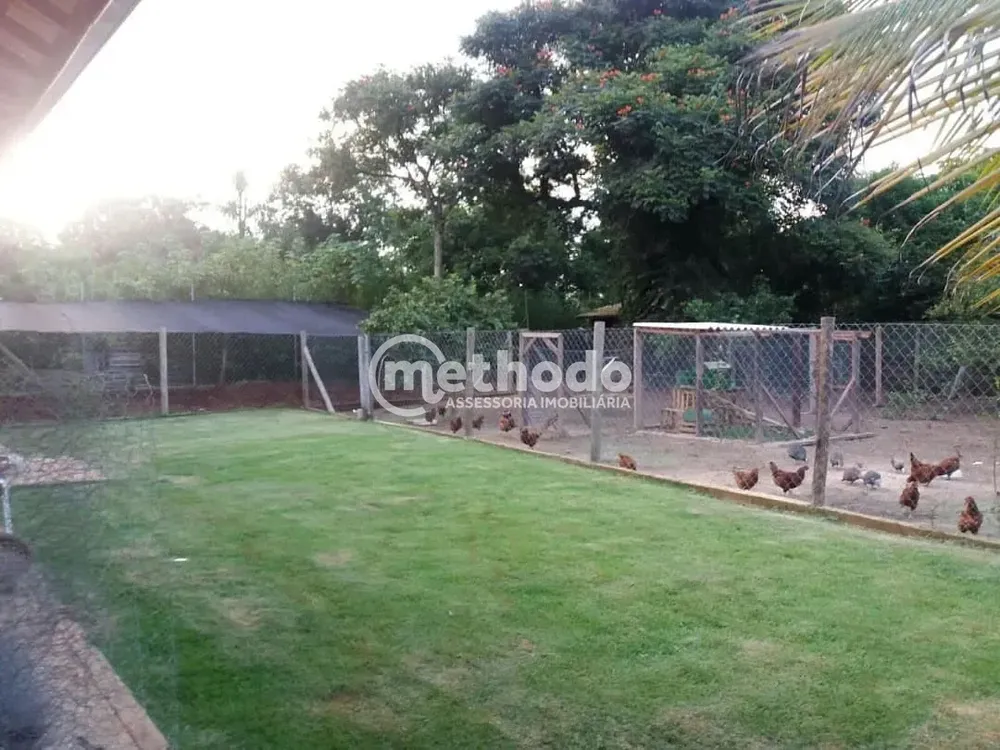 Chácara, 3 quartos, 2600 m² - Foto 4