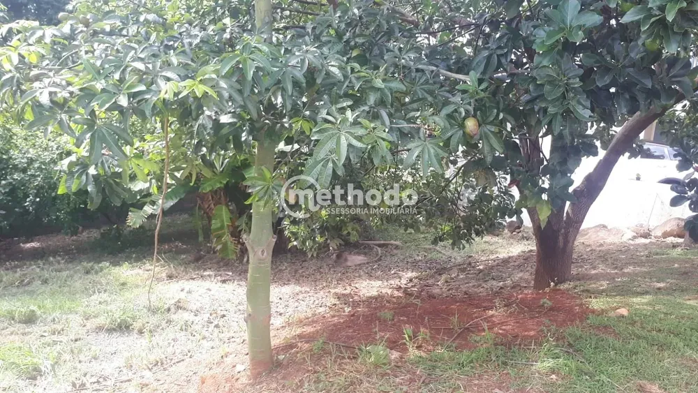 Terreno, 250 m² - Foto 3