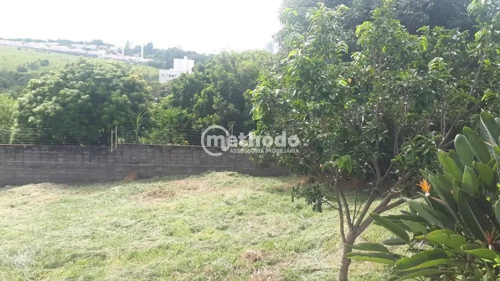 Terreno, 250 m² - Foto 2