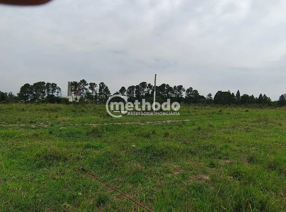 Terreno, 9 hectares - Foto 4