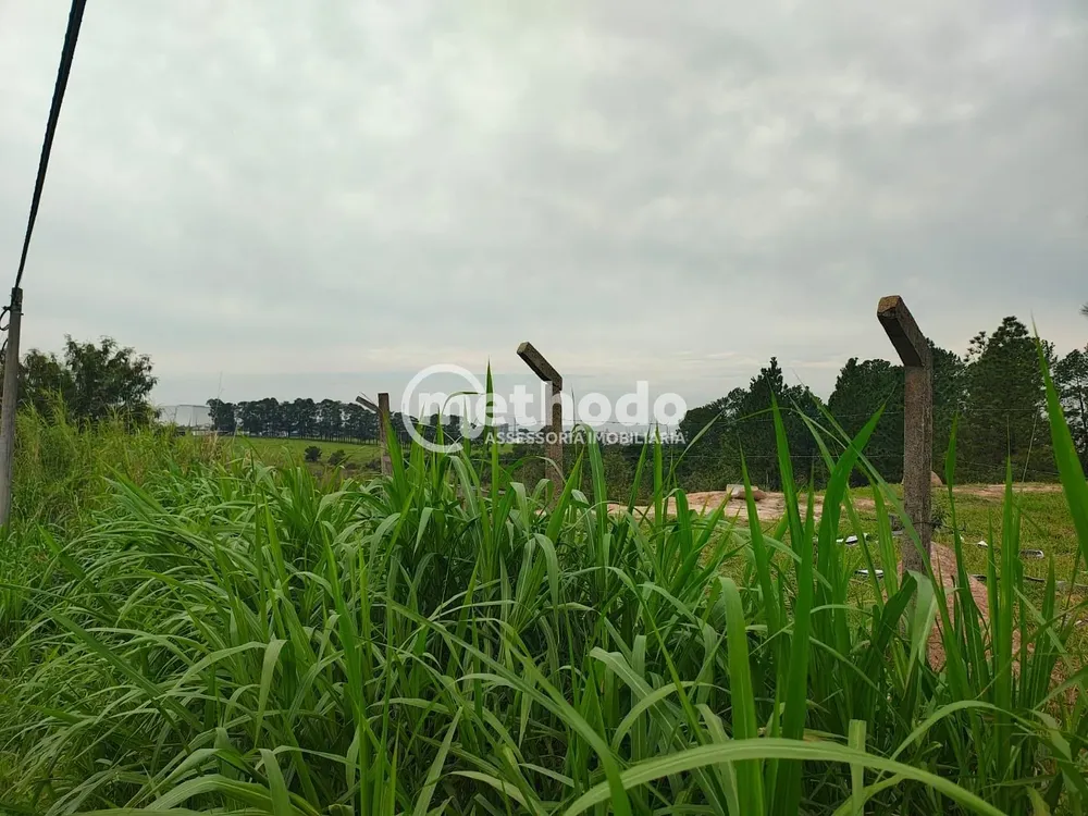 Terreno, 9 hectares - Foto 2