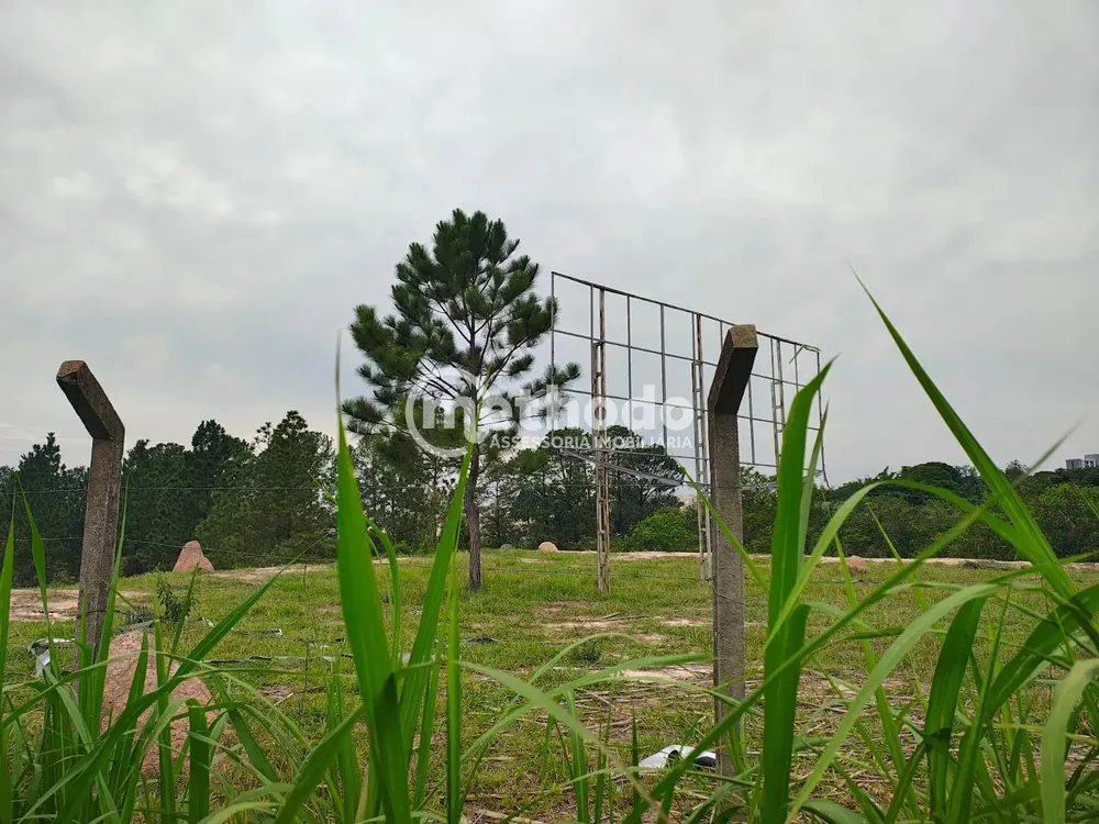 Terreno, 9 hectares - Foto 1