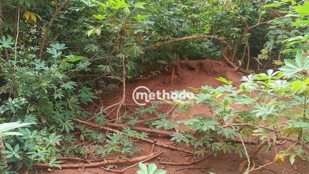 Terreno à venda, 250M2 - Foto 5