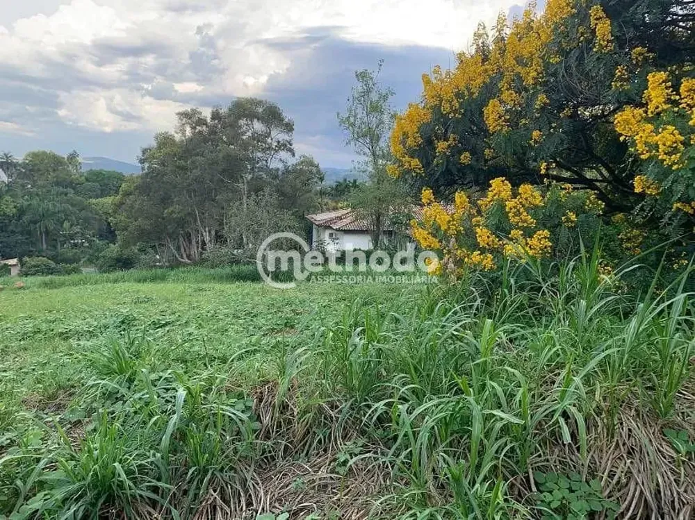 Terreno, 5090 m² - Foto 4