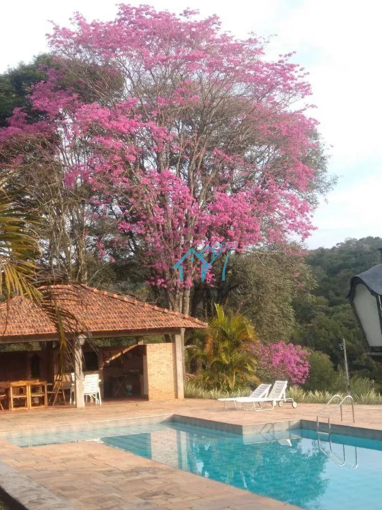 Chácara, 4 quartos, 8187 m² - Foto 8