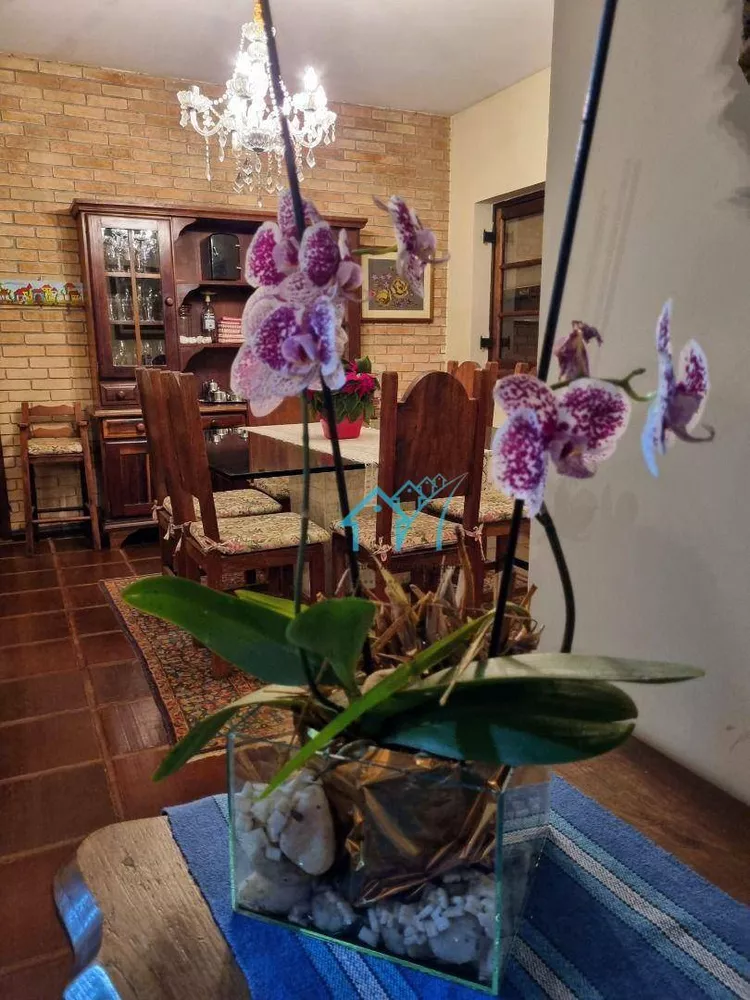 Chácara, 4 quartos, 8187 m² - Foto 6