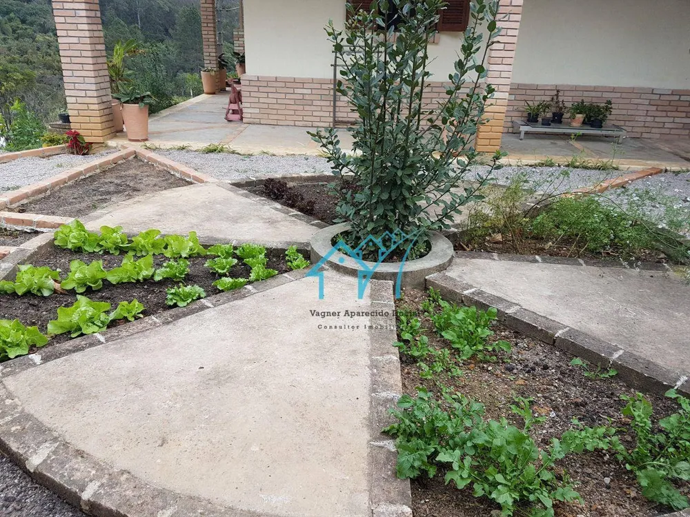 Chácara, 4 quartos, 8187 m² - Foto 10
