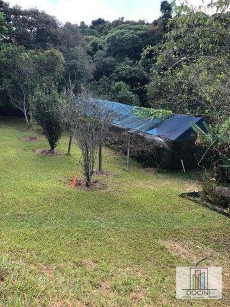 Chácara, 3 quartos, 10000 m² - Foto 10