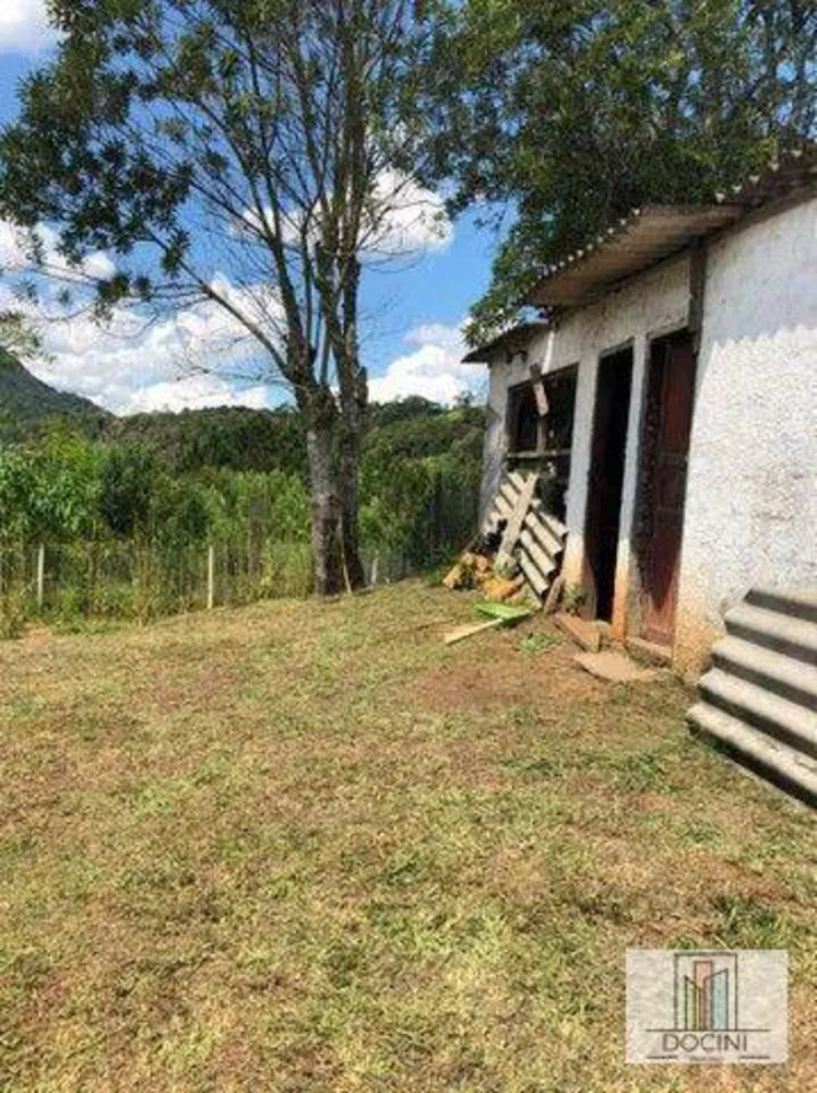 Chácara, 3 quartos, 10000 m² - Foto 3