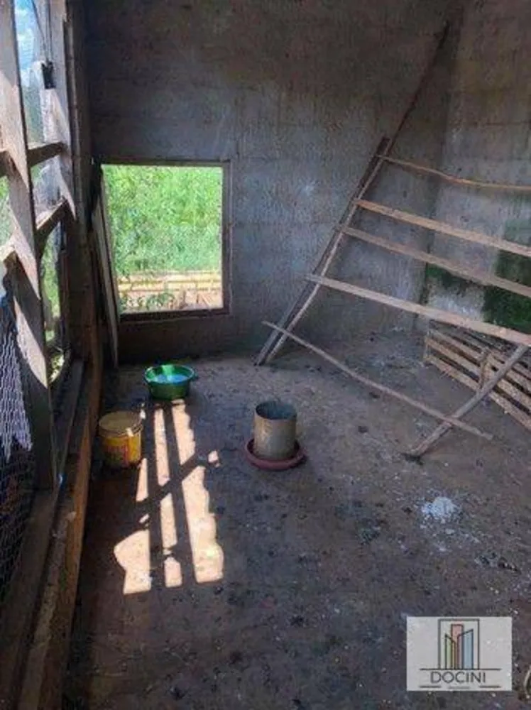 Chácara, 3 quartos, 10000 m² - Foto 14