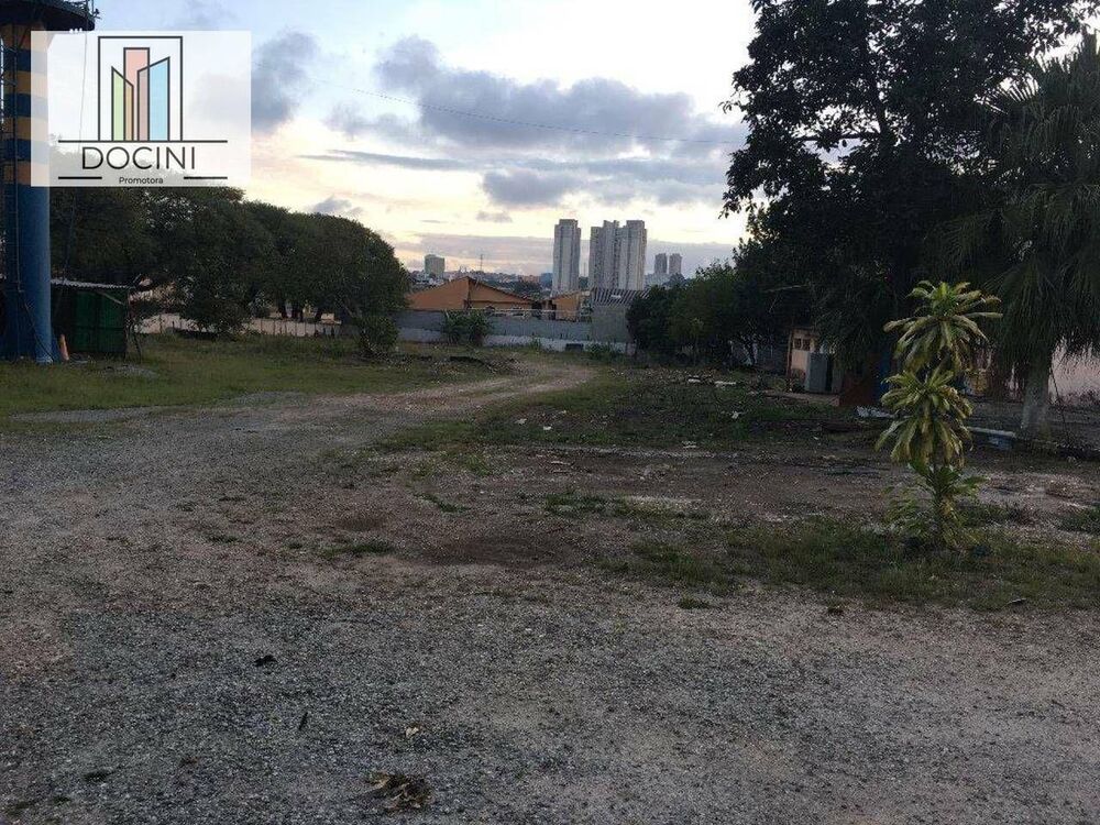 Terreno, 5300 m² - Foto 2