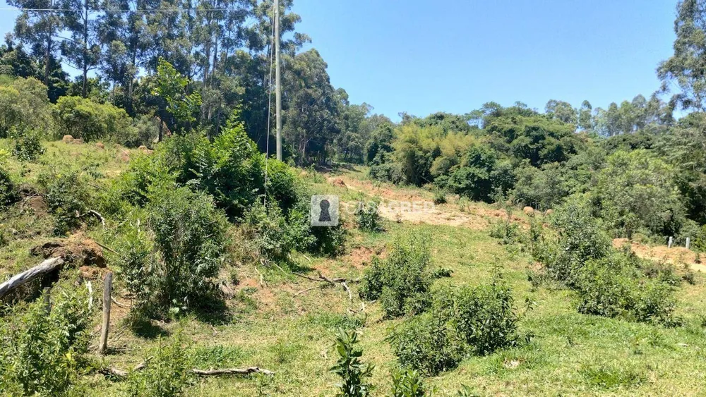 Sítio, 2 quartos, 2 hectares - Foto 6