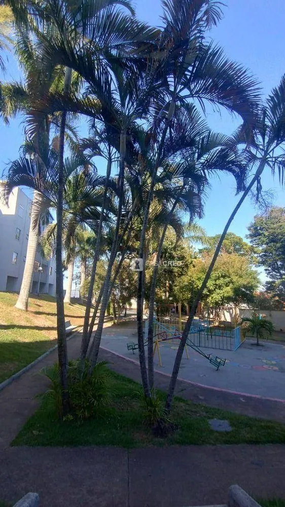 Apartamento, 3 quartos, 100 m² - Foto 13